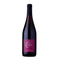 Touraine gamay (Caillots)