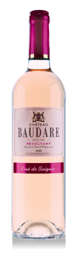 Fronton - Rosé de saignée (Baudare) 2023